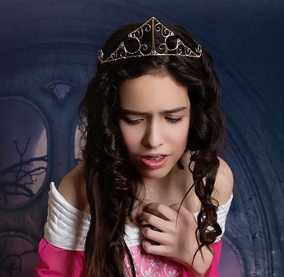 Sleeping Beauty Inspired Wire Tiara